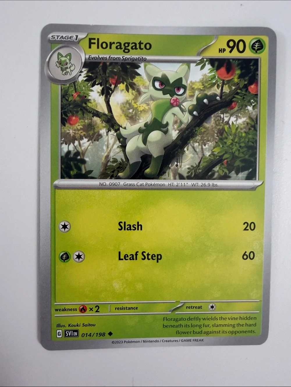 ⭐ Pokémon Starter Evolution Lot | Cyndaquil Totodile Sobble Sprigatito Fuecoco